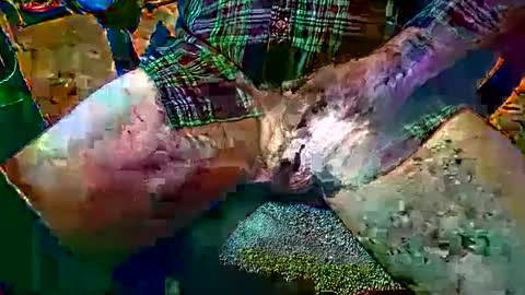 Unpredictable online show from November 14, 11:22 am