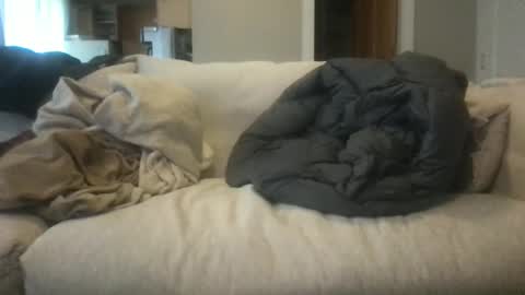 rossignol online show from February 14, 12:30 am