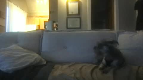 rossignol online show from February 27, 1:24 am