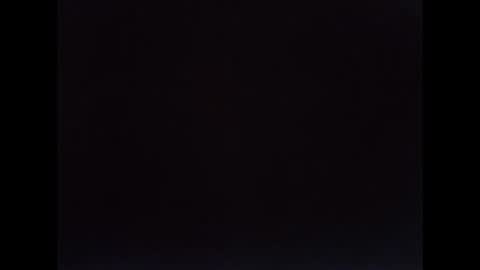 pal online show from February 15, 11:27 pm