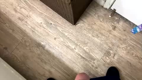 palote_69 online show from January 25, 5:30 pm