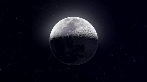 Paris online show from November 18, 8:55 pm