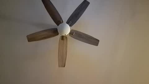 patrick247288 online show from September 25, 5:06 am