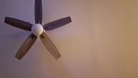 patrick247288 online show from March 1, 6:04 am