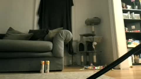 shy online show from April 12, 7:43 am