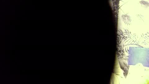 PedrOO OO online show from December 3, 8:47 am