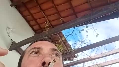 perigosotarado1 online show from November 17, 11:02 am