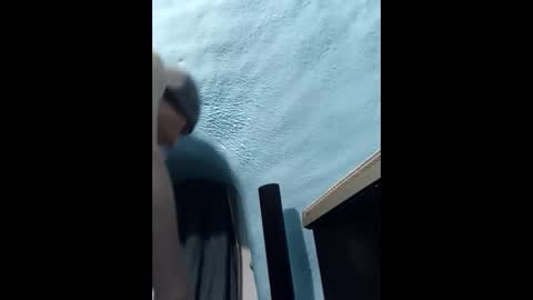 Sneaky Pete online show from January 19, 4:46 pm