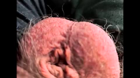 petrol63102 online show from February 26, 1:12 pm