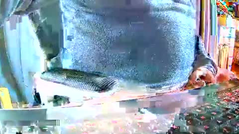 Gabu online show from December 15, 9:50 am