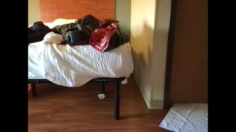 phxtdick415 online show from March 1, 4:22 pm