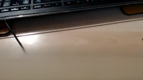 pier49x online show from February 10, 3:35 am