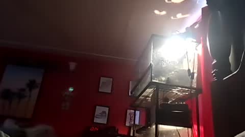 SEX ADDICTION WANNA MEET online show from December 19, 6:34 pm