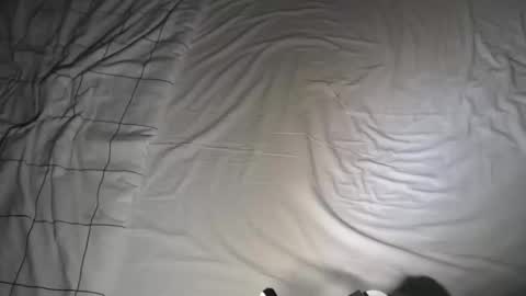 Steve online show from January 8, 12:38 am