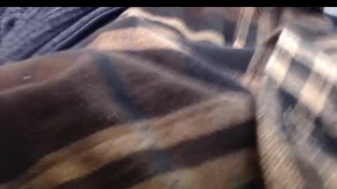 pllkgh45ymn online show from January 26, 6:06 pm