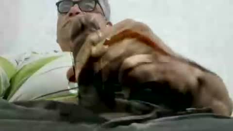 poli online show from September 22, 2:11 am