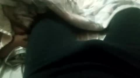 pollonyhuevosgordos online show from March 12, 5:15 am