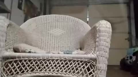 PipeLayerPlayer007 online show from October 18, 7:13 am