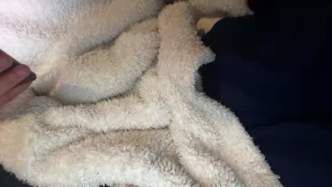 Snapshot of prelako chatting on October 26, 11:45 am Prelako online show from October 26, 11:45 am