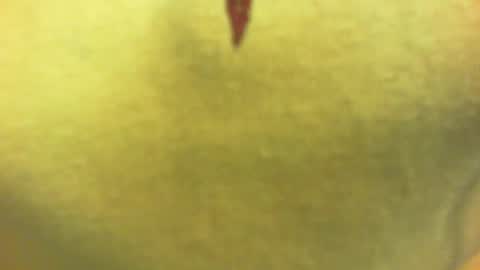 Snapshot of princetonbar55 chatting on February 7, 7:06 pm princetonbar55 online show from February 7, 7:06 pm