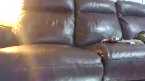 Clothingoptional online show from February 25, 8:19 pm