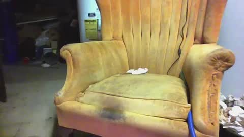 pspee313 online show from March 1, 1:22 am