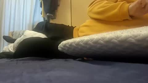 Pulp online show from January 14, 9:02 am