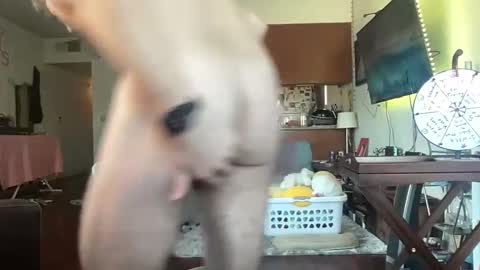 Snapshot of pupscritch chatting on January 17, 8:48 pm Pup Scritch online show from January 17, 8:48 pm