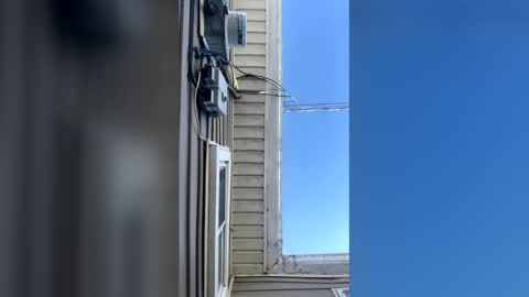 pyrex8 online show from February 10, 2:33 pm