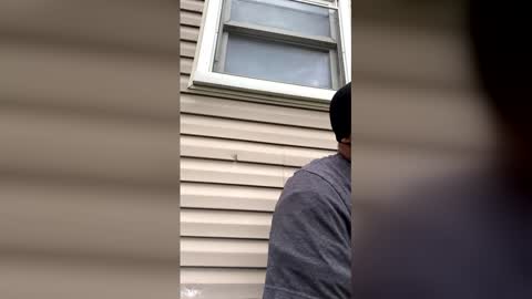 pyrex8 online show from April 13, 9:04 pm