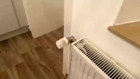 Tony online show from March 1, 2:59 am