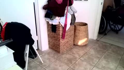 raymanjr52 online show from January 16, 4:43 pm