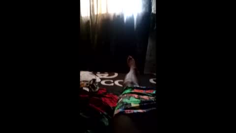 realdick1111 online show from May 31, 2:38 pm