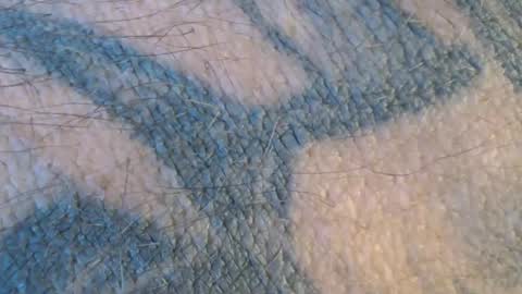 realrubpirate online show from February 1, 10:15 am