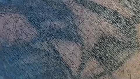 realrubpirate online show from September 9, 9:31 am