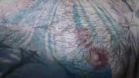 realrubpirate online show from April 15, 9:20 am