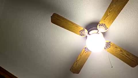 red24devils online show from November 21, 1:04 am