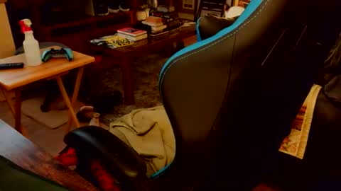 red_sea_bear online show from April 19, 4:23 am