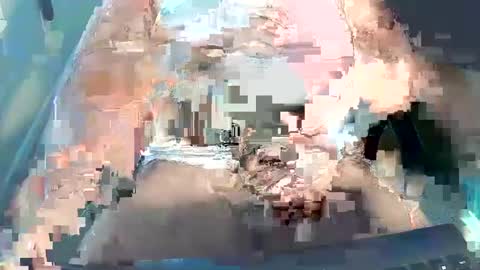 redgorilla157 online show from February 8, 5:08 pm