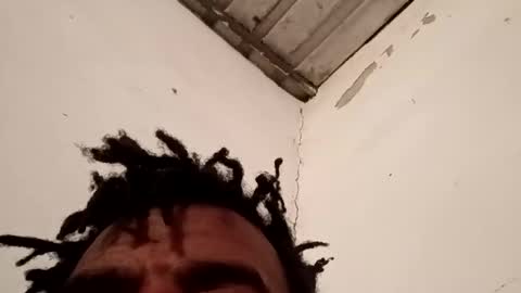 reinft online show from December 20, 10:55 am