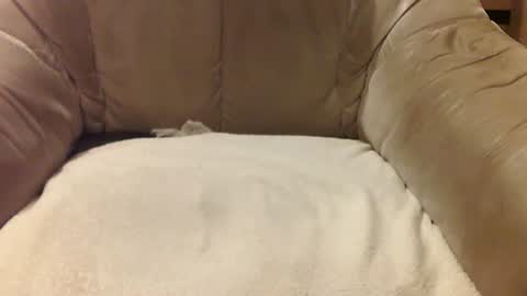 Mark online show from February 23, 10:09 pm