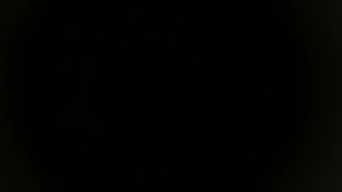 RoastingCorn online show from October 18, 10:20 am