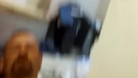 robertsaiz4200 online show from November 8, 2:37 am