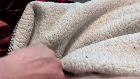 robp79 online show from April 26, 1:14 am