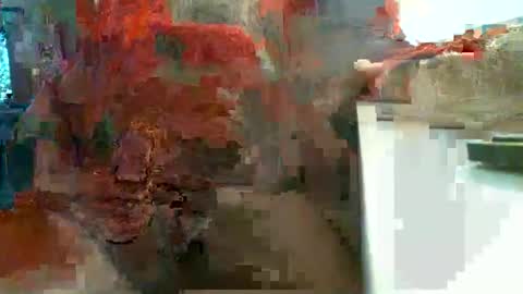 Rocco  aka DaddyRoc online show from February 13, 11:59 am