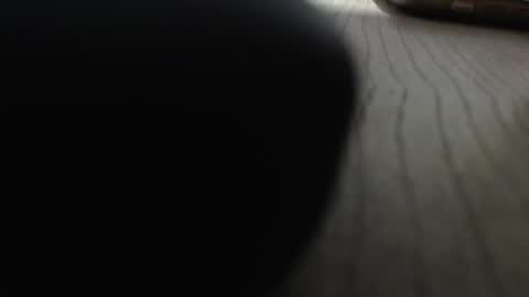 rocky muscle online show from December 20, 3:13 am