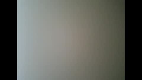 rollino83 online show from November 11, 3:50 pm