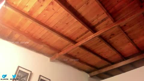 sai online show from February 25, 12:22 am