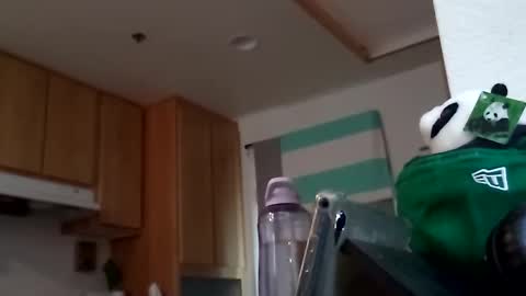 salis1981 online show from September 18, 7:49 pm