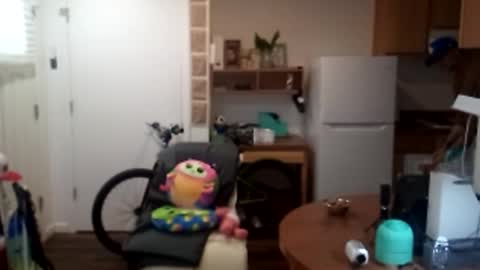 salis1981 online show from September 25, 6:40 pm